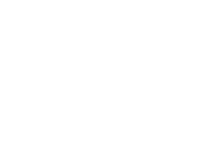 Mara International